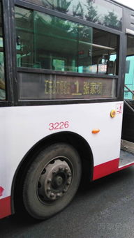 優(yōu)化城市公共交通 問(wèn)題反饋與改進(jìn)建議